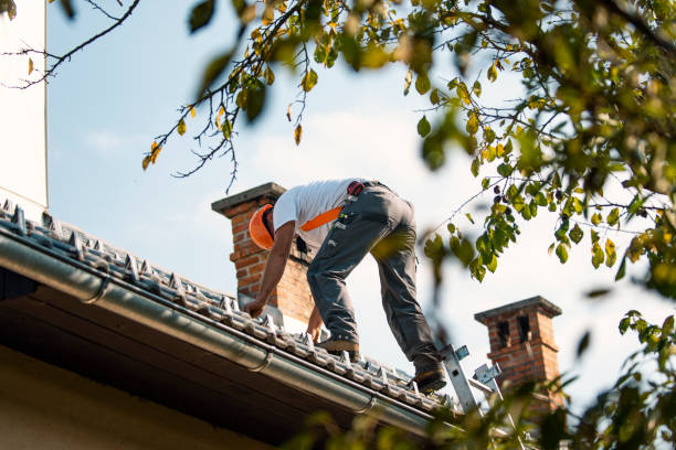 Best Roof Waterproofing Services  in Bellevle, IL