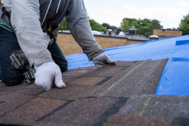 Roof Gutter Cleaning in Belleville, IL