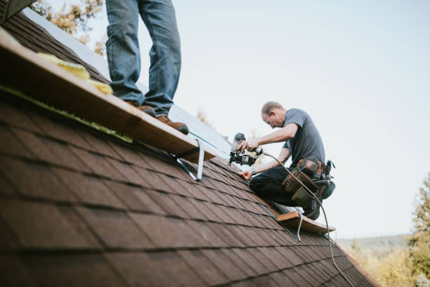 Best Roof Gutter Cleaning  in Bellevle, IL