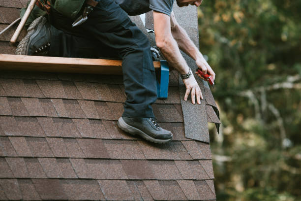 Best Metal Roofing Contractor  in Bellevle, IL